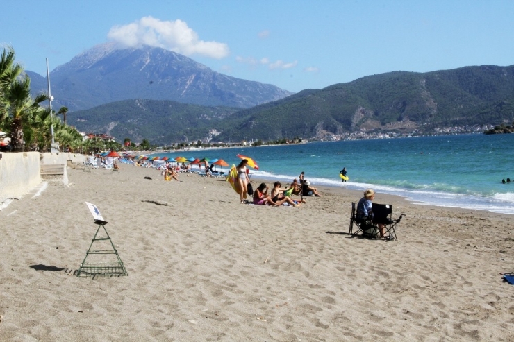 Fethiye’de Yavru Caretta Carettaların Denize Yolculuğu Başladı