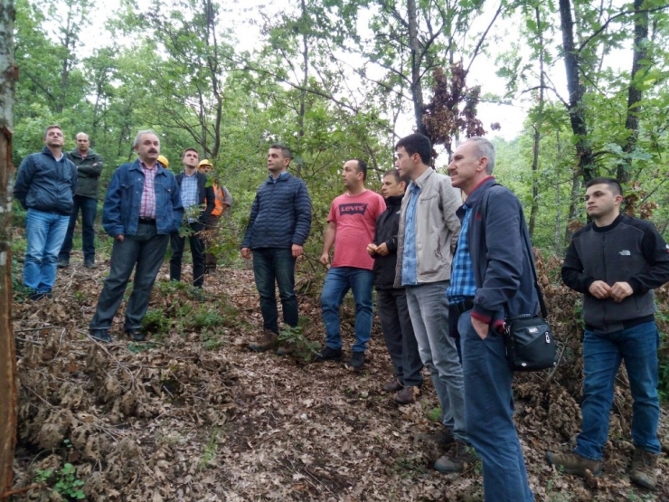 İnegöl’de Silvikültür Çalışmaları Denetlendi