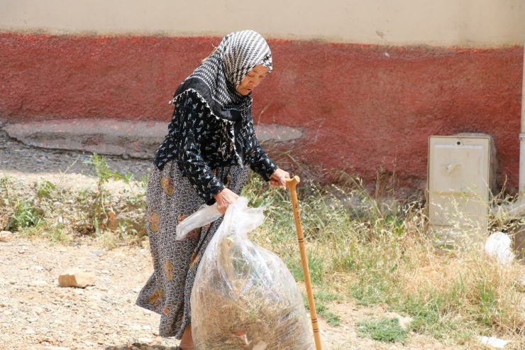Nazmiye Nineden "Çevre Temizliğinde" Örnek Davranış