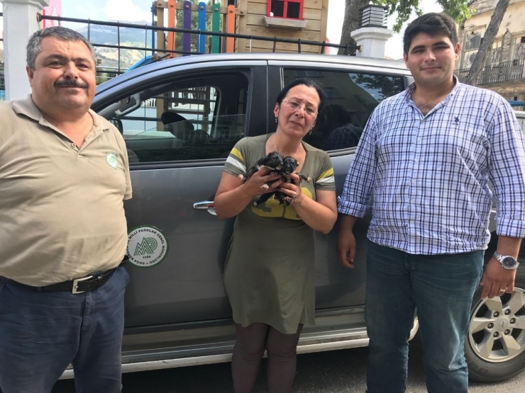 Isparta’da Terk Edilmiş 4 Yavru Köpekten 2’si Canlı Olarak Kurtarıldı