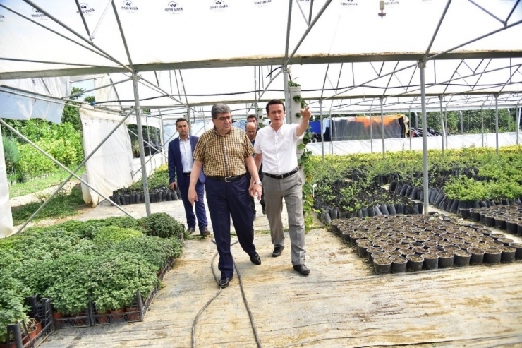 Başkan Can, Belediye Ait Serayı Gezdi