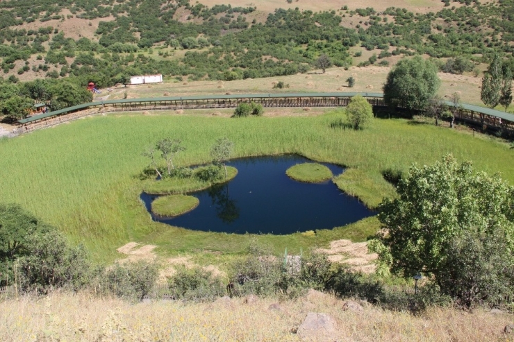 Doğa Harikası ’Yüzenadalar’a Büyük İlgi Görüyor
