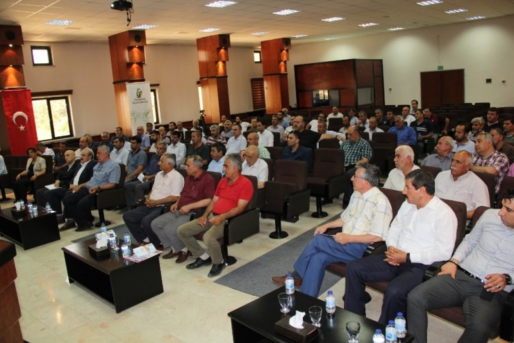 Gtb’de ‘’İmar Barışı’’ Bilgilendirme Toplantısı