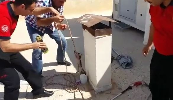 Yavru Kedinin İmdadına İtfaiye Yetişti