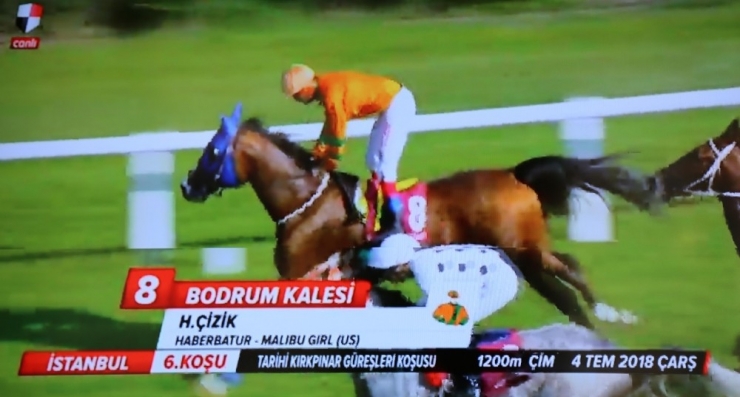 Kırkpınar Koşusu’nun Galibi ‘Bodrum Kalesi’