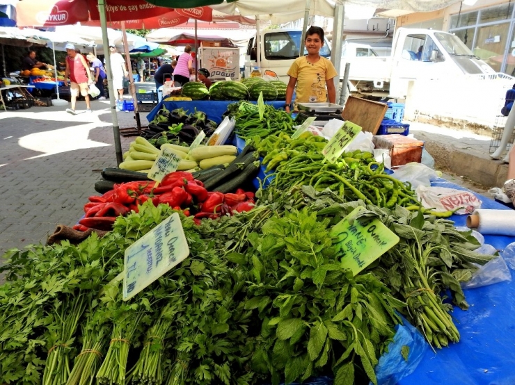 Taşeronun Kazandığı Fahiş Fiyatlara ’Üretici’ Darbesi