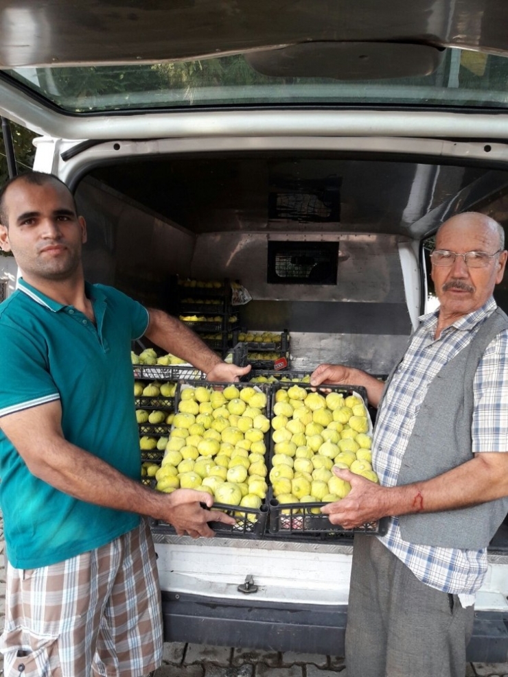 Ödemiş İnciri Bir Kaç Güne Tezgahlarda