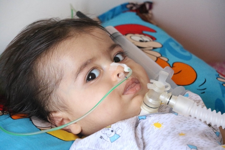 İranlı Mohammad’e Türkiye Sahip Çıktı