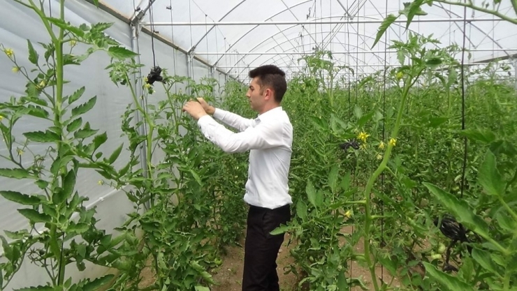 Genç Çiftçi Desteği Hayatını Değiştirdi