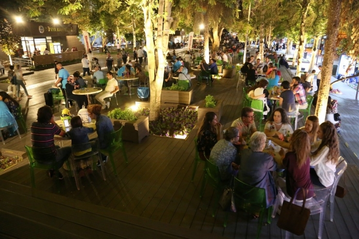 Gece-gündüz Yaşayan Bir Hamamyolu