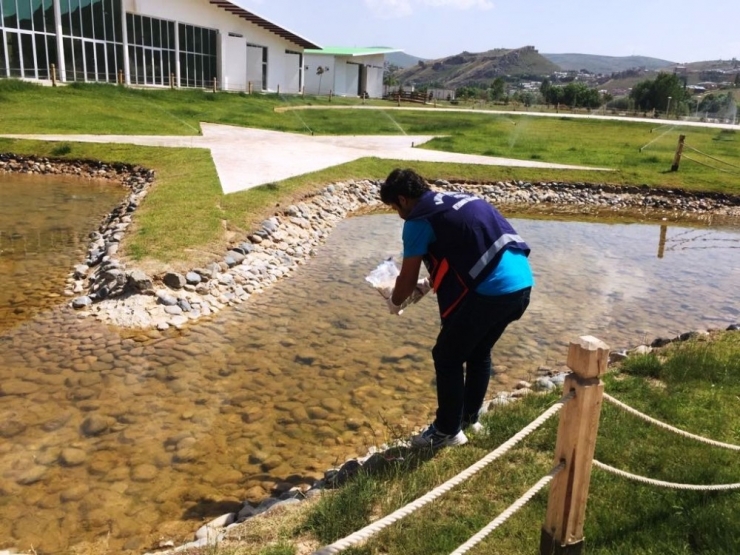 Haşereyle Mücadele Hız Kesmiyor