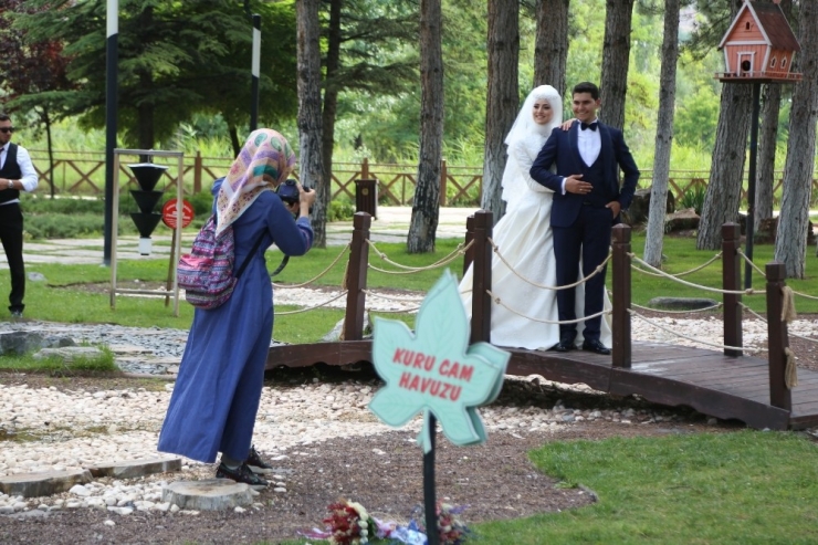 Odunpazarı’nda Doğal Bir Fotoğraf Stüdyosu: Botanik Park