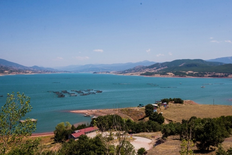 Türkiye Genelinden 100 Kanocu Almus’ta Kürek Çekecek