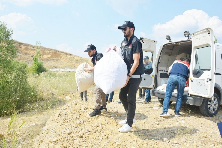 Uşak’ta Adli İşlemleri Bitmiş Uyuşturucular İmha Edildi