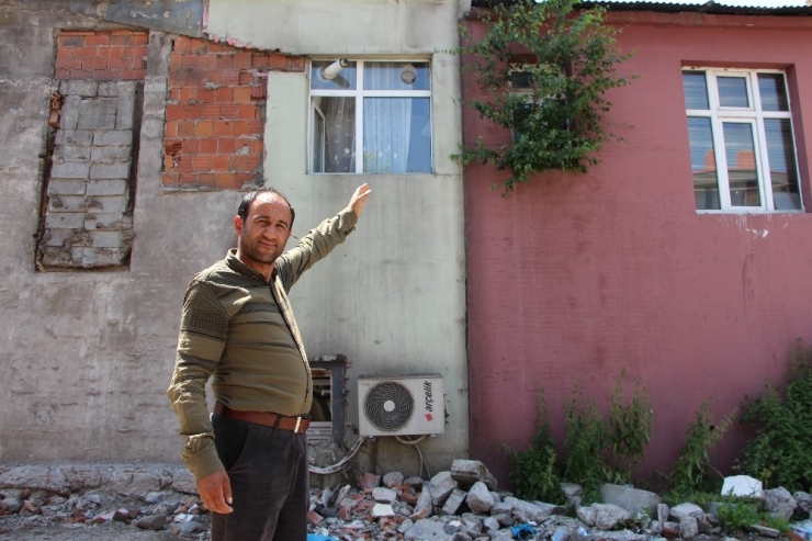 Ardahan’da Duvarda Yeşeren Söğüt Şaşırttı