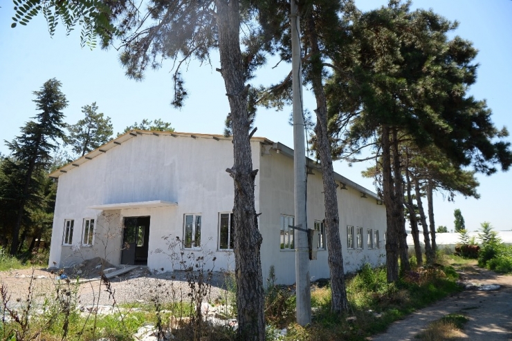 Kırsal Mahallelere Modern Sosyal Tesis