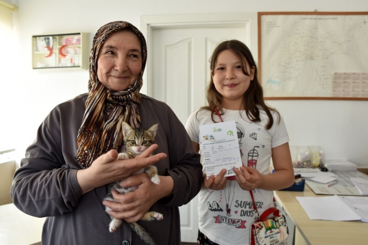 Doğal Yaşam Merkezi, 6 Ayda 532 Hayvan Sahiplendirdi