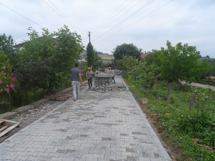 Durhasan Köyü’nde Parke Seferberliği