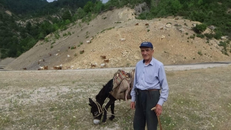 Şaphaneli Özçelik Çiftçi, 50 Yıldır Üretiyor