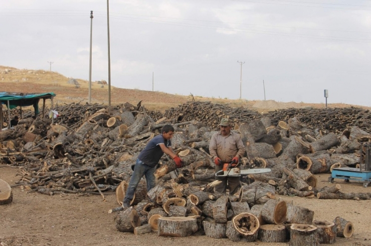Siirtli Oduncular Satışlardan Memnun