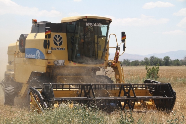 Elazığ’da 1 Milyon Dekar Alanda Hububat Hasadı