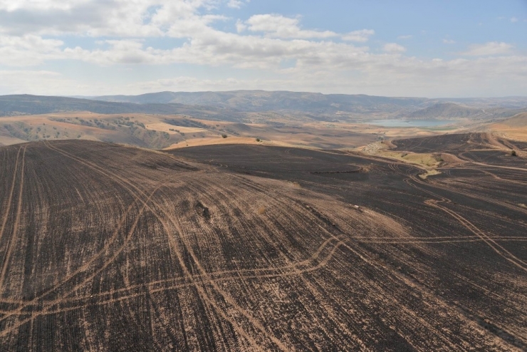 Felahiye’de 540 Dekar Alan Yangında Zarar Gördü