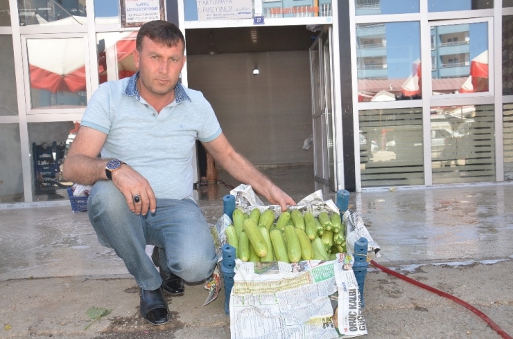 Rusya’ya Elbistan Kabağı