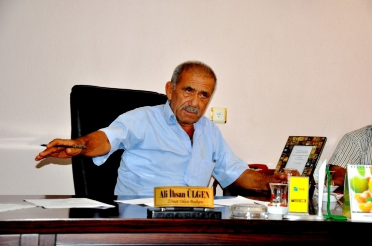 Üzüm İşçilerinin Ücretleri Arttı