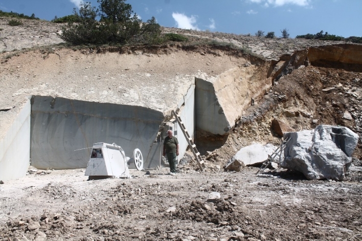 ’Zeytin Dalı’nın Balkanlar’a İhracatı Başladı