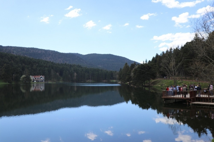 Bolu’nun Doğa Harikası Gölcük, Nilüfer Bahçesine Dönüşecek