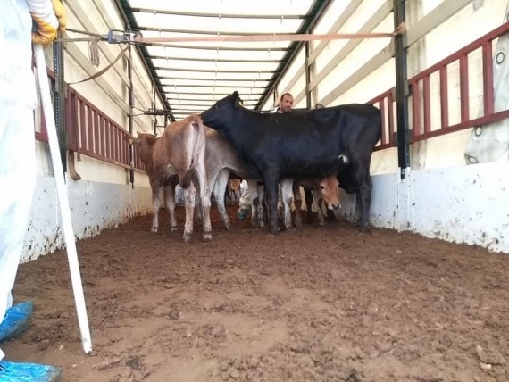 Genç Çiftçi Hibe Sonuçları Açıklandı