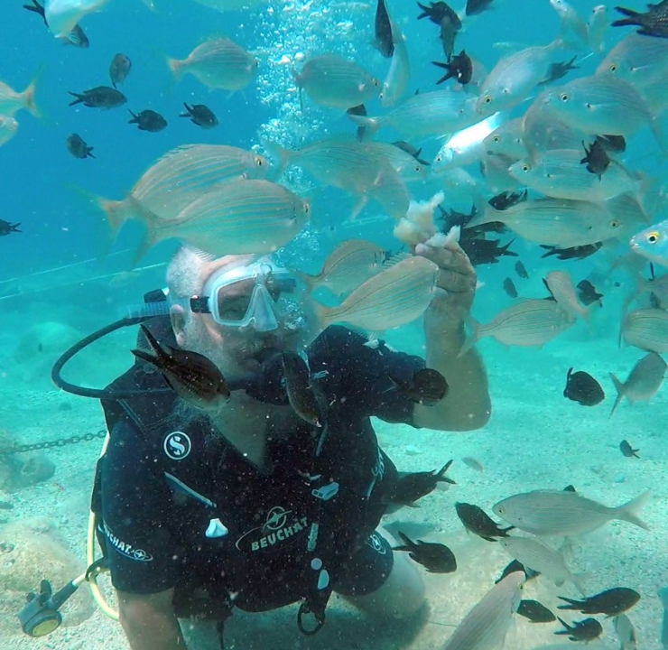 Turistlerin Yeni Gözdesi Su Altında Ekmekle Balık Beslemek