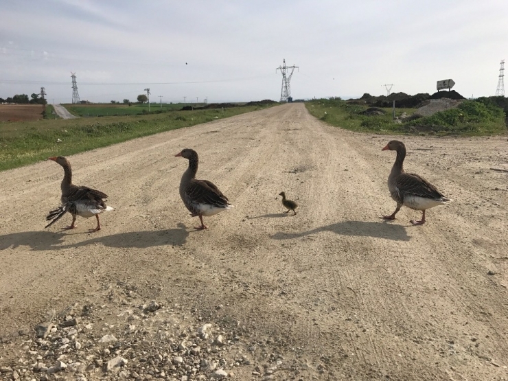 Beymen Club’ın Düzenlediği Fotoğraf Yarışmasının Kazananları Belli Oldu