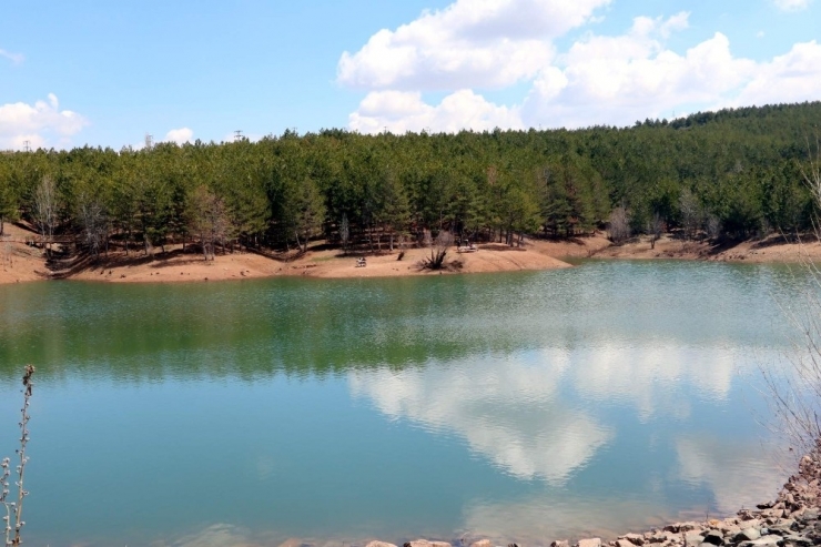 Yozgat Çamlığı Milli Parkı’nda 43 Endemik Bitki Türü Tespit Edildi