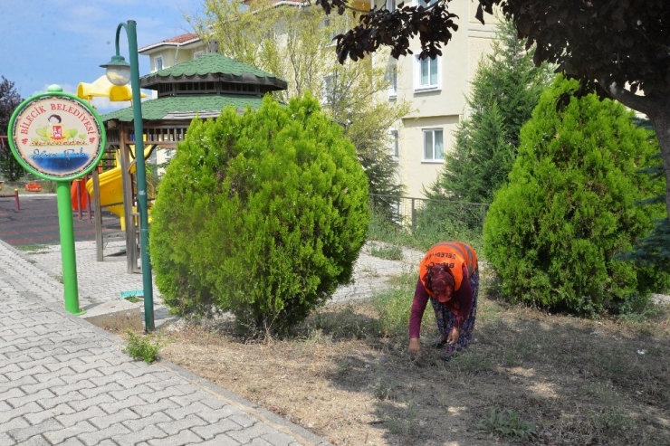 Daha Yeşil Bir Bilecik İçin Çalışıyorlar