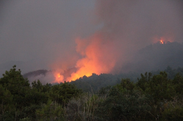 Günde Ortalama 11 Orman Yangını Çıkıyor