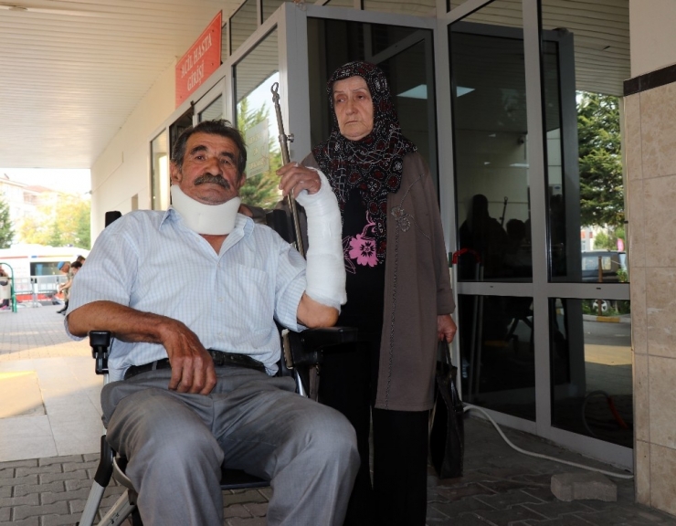 Hayvan Pisliği Tartışmasında 79 Yaşındaki Kıbrıs Gazisi Darp Edildi