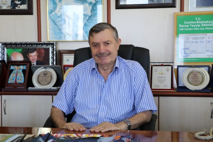 Doğu Karadeniz’i İstila Eden ‘Vampir Kelebek’ İle Mücadele Sürüyor