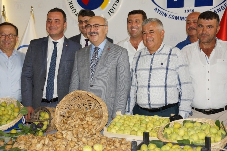 Aydın’da Sezonun İlk Kuru İnciri Borsaya Teslim Edildi