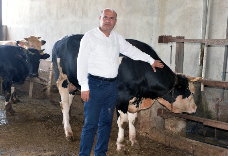 İncefikir: "Türkiye Hayvan Üretiminde Gelişmiş Ülkelerin Gerisinde"