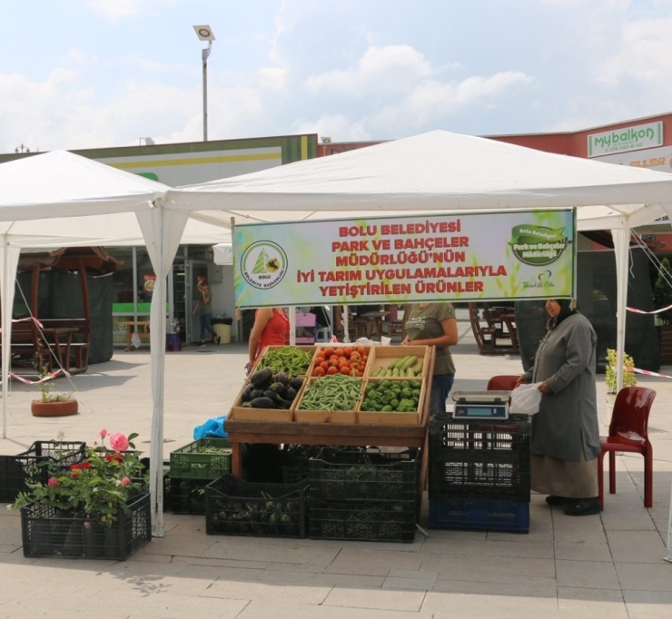 Bolu’nun “İyi Tarım” Ürünleri Satışa Çıktı