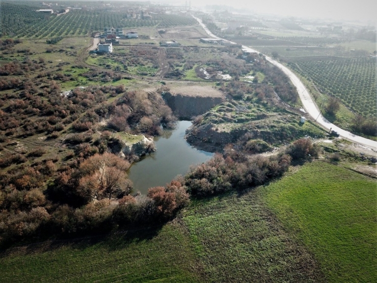 Bursa’da Bataklık Alanlara Meyve Fidanları Dikildi