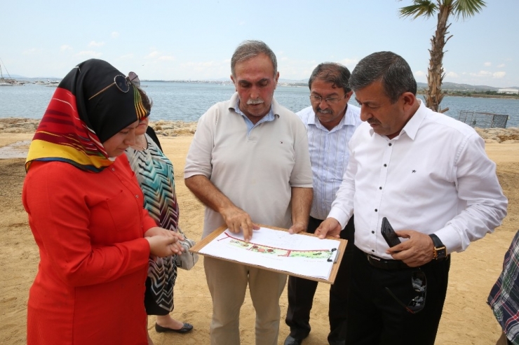 Darıca Balyanoz Koyunda Çalışmalar Devam Ediyor