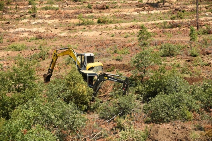 Sarıcakaya’da Sonbahar Hazırlığı