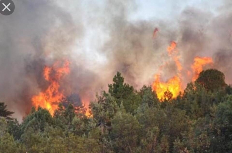 Nurdağı’nda 15. Dönüm Orman Kül Oldu