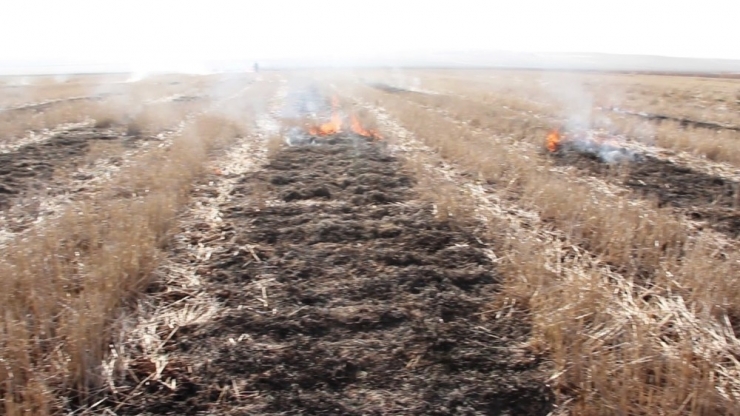 Son 3 Yılda Diyarbakır’da Çiftçilere 765 Bin Tl Ceza Kesildi