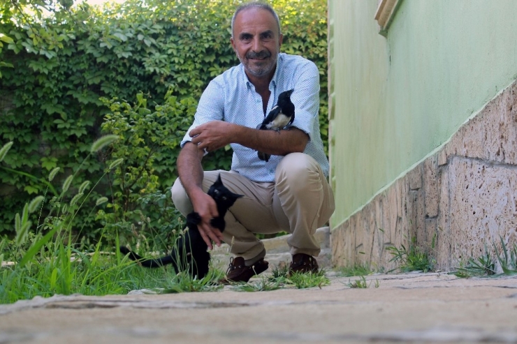 Vanlı İş Adamının Hayvan Sevgisi