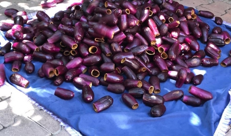 Kilis’te Kurutmalık Patlıcanlar Oyulmaya Başlandı