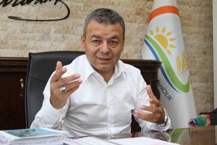 Antalya’da Avokado Üretimi 10 Yılda 12 Kat Arttı