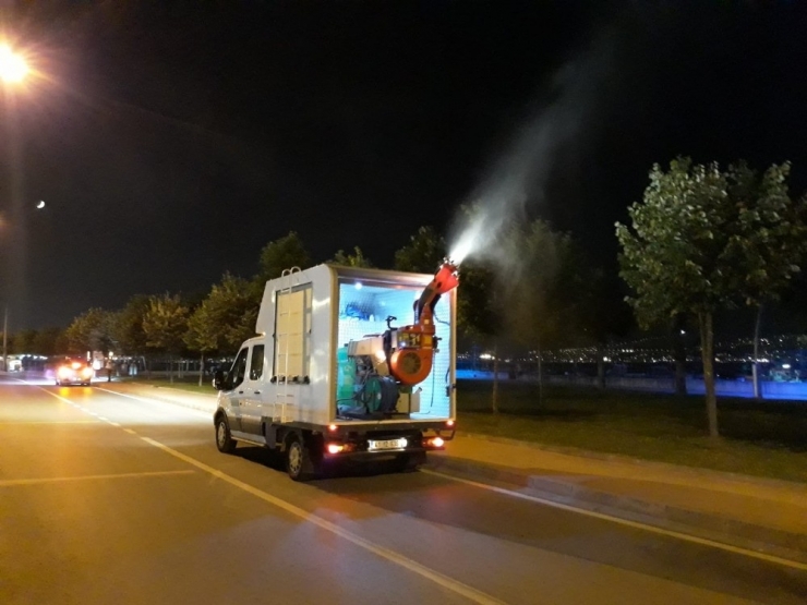 Kocaeli’de Asya Kaplan Sivrisineği Alarmı